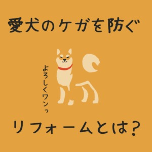 [山梨×ペットリフォーム]愛犬のケガを防ぐための床リフォームとは？